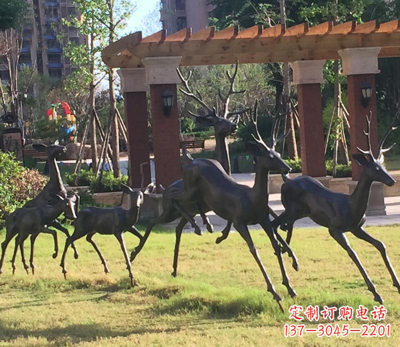 内江“梅花鹿传递自由与美好”
