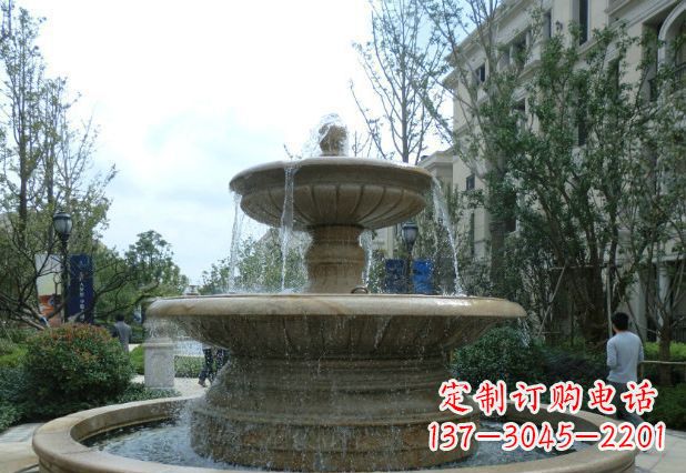 内江别墅景观大型喷泉石雕 (3)