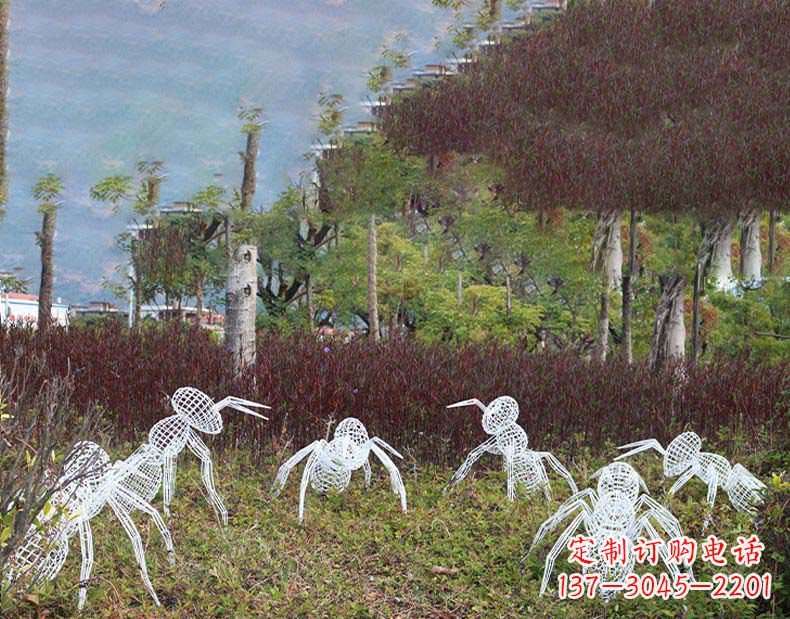 内江不锈钢蚂蚁镂空雕塑艺术与自然的完美结合