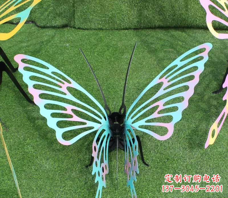 内江彩色不锈钢镂空蝴蝶雕塑精美又充满生机
