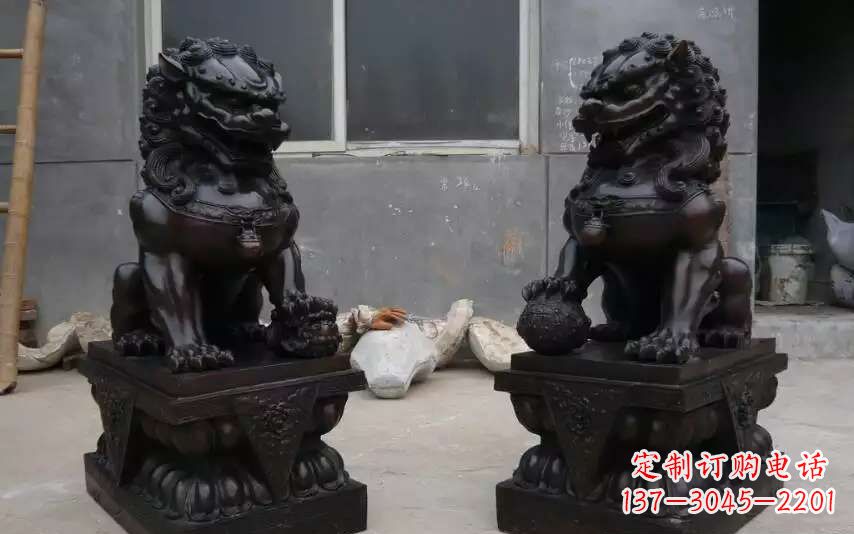 内江踩球镇的狮子之家