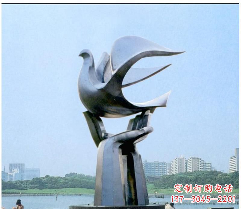 内江静谧之鸽,传递和平象征~