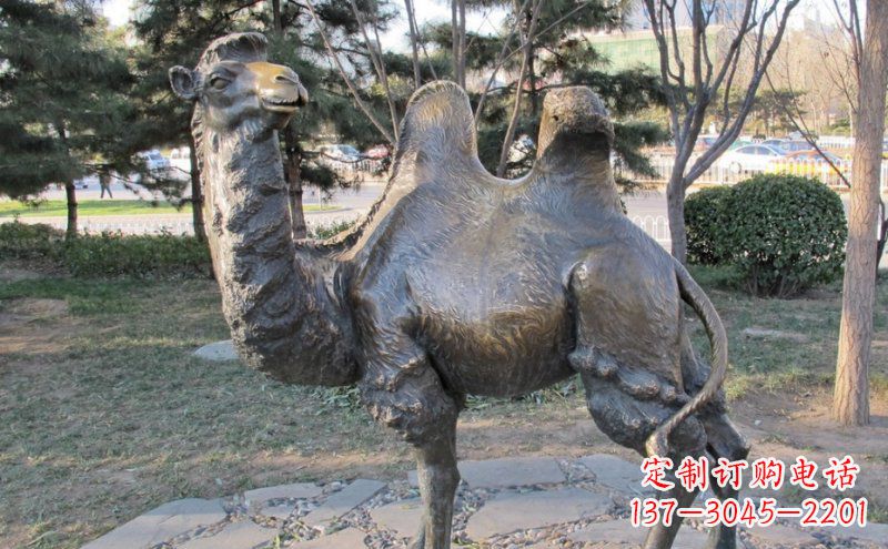 内江铜骆驼雕塑——浓缩自然美丽