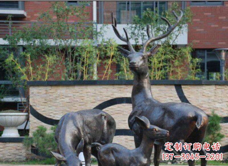内江古雅优雅的梅花鹿铜雕
