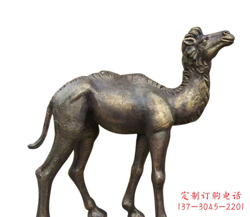 内江奇美洁净的骆驼铜雕