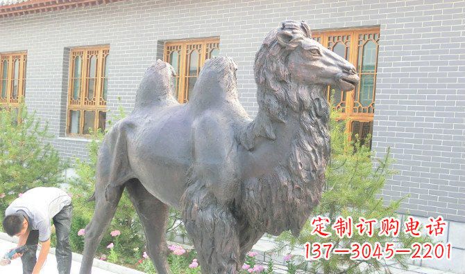 内江精美的骆驼铜雕,提升您的公园气质