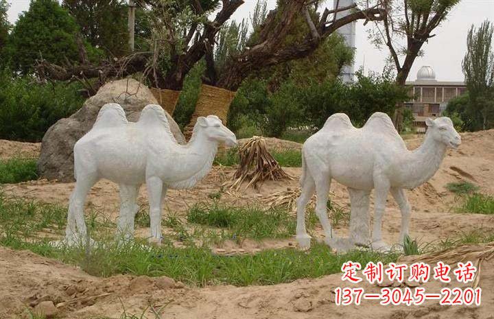 内江欣赏大自然,石雕骆驼公园动物雕塑邀请您