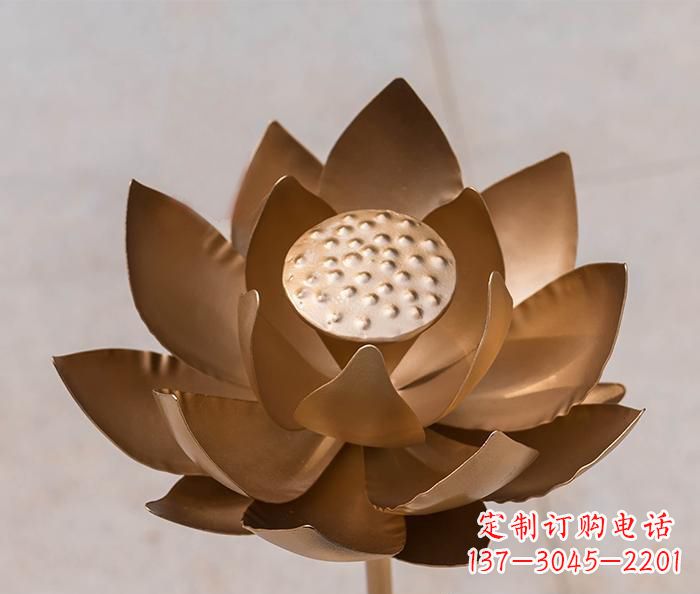 内江铜雕景观荷花