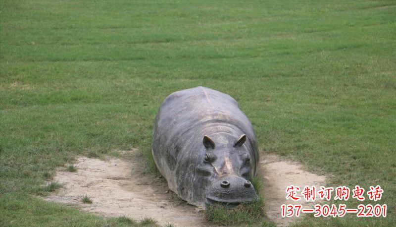 内江铜雕趴着的河马