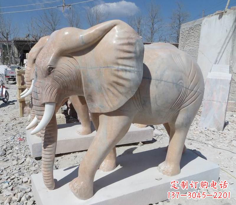 内江晚霞红卷鼻大象
