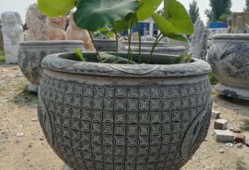 内江荷花鱼石雕塑，精美雕塑展现浪漫情怀